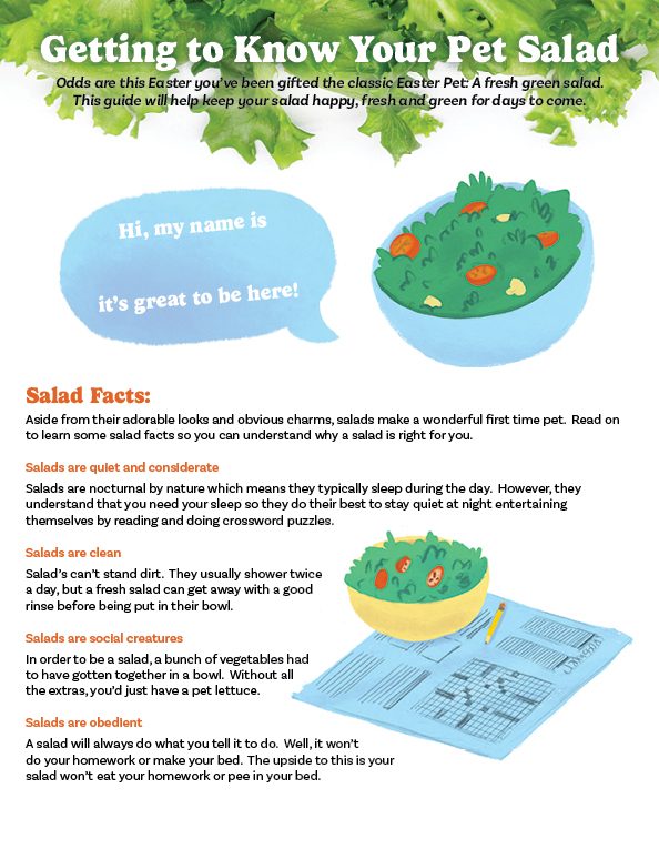 Page one of a tongue-in-cheek care guide for keeping a salad as a pet.